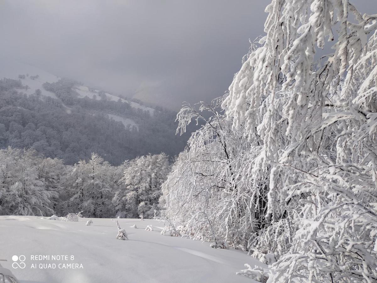 Sadyba Gostynniy Dvir Izki Dış mekan fotoğraf