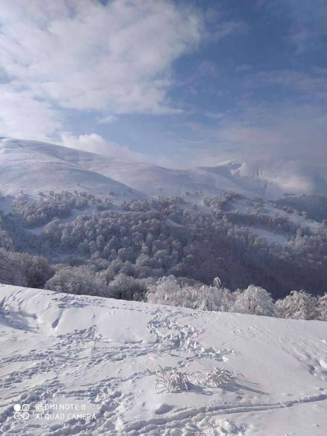 Sadyba Gostynniy Dvir Izki Dış mekan fotoğraf